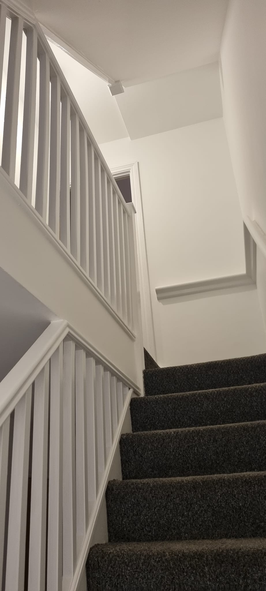 472860651_122149914062360538_6745868255154343700_n